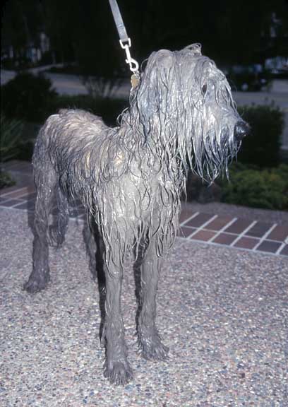 dirty_dog3.jpg